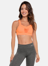TOP REF:92343